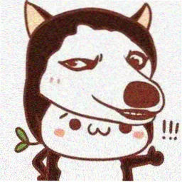观众阿禾的头像
